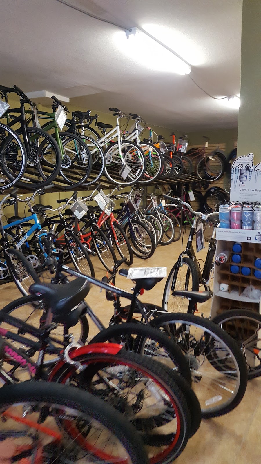 Spin City Cycles